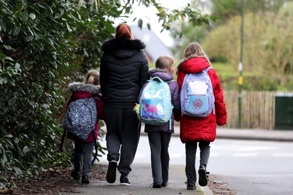 Just half of primary schools reopened 