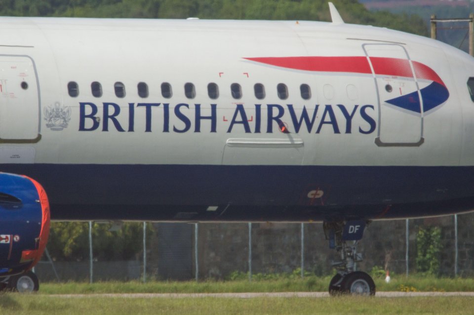 British Airways is among the high profile names to have taken-up emergency coronavirus loans