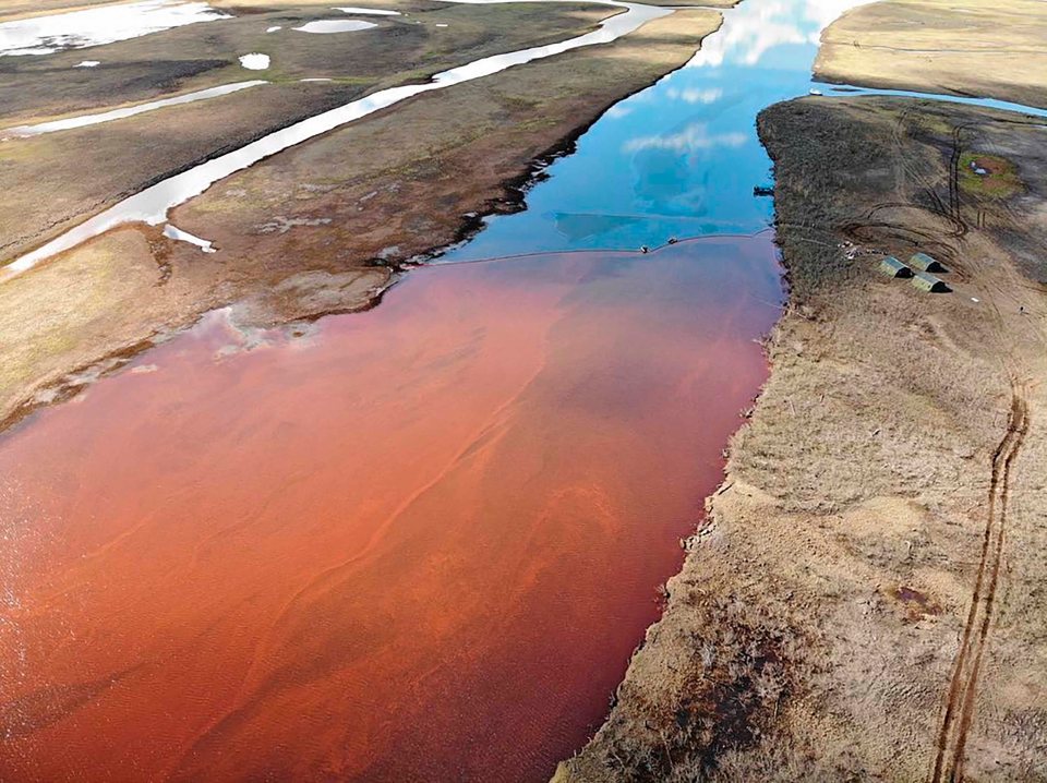 Pictures show the horror unfolding in the Ambarnaya River near Norilsk in the Russian Arctic.