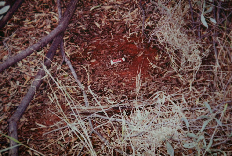 A chapstick found in the bush which Less claimed she used to free herself