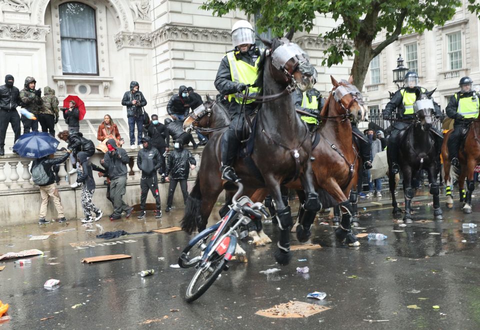 A bike appeared to be thrown at a horse during the protest