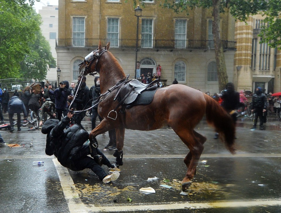 Another spooked horse during the unrest on Saturday in central London