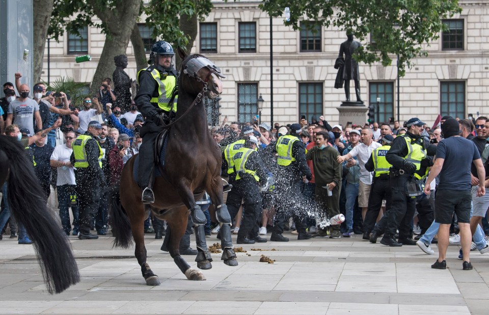 Protesters hurl objects at a police officer on horseback