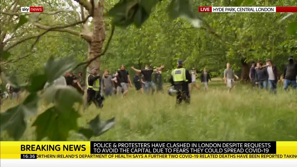 There was also trouble in Hyde Park, with footage released of thugs clashing with police