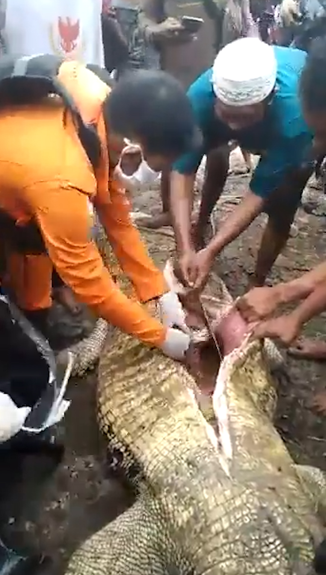 A woman's limbs were found after locals cut open a crocodile