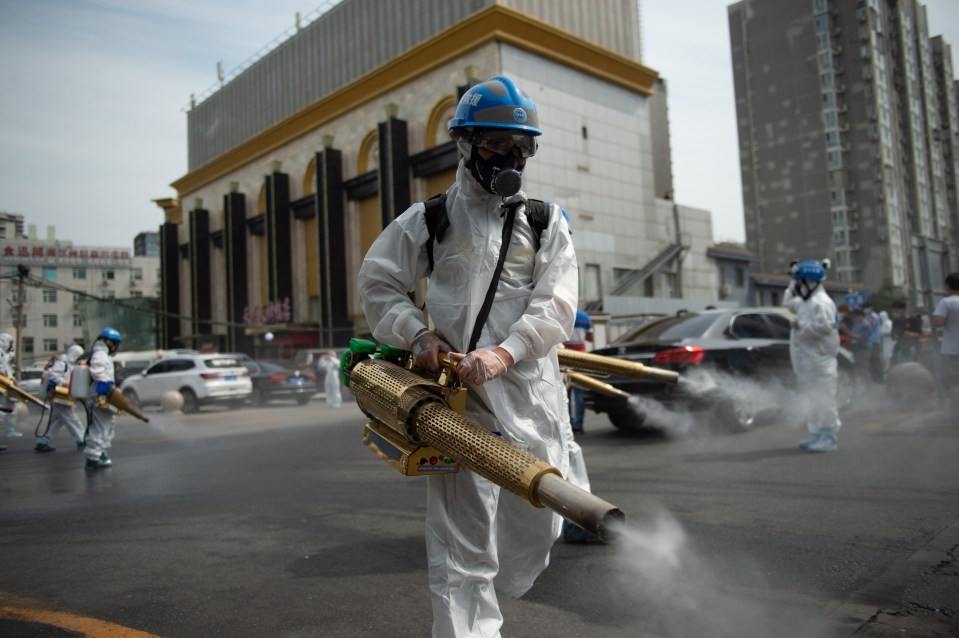 Members of the Beijing Blue Sky Rescue (BSR) team disinfect the Yuegezhuang wholesale market in Beijing