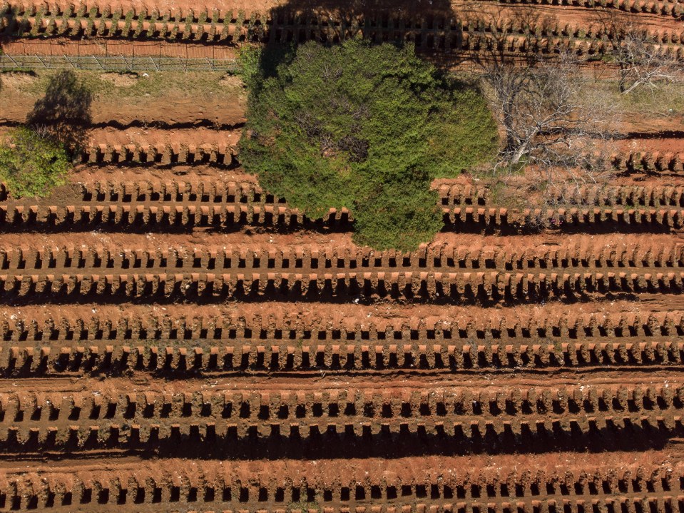 Hundreds of new graves were dug in the Vila Formosa cemetery in Sao Paulo