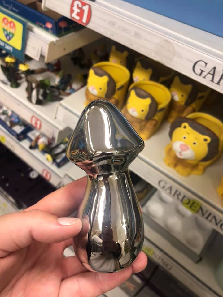 A mum spotted this rather phallic looking fungus in Poundland 