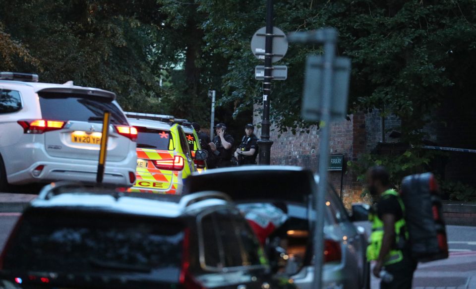  A long line of police cars could be seen at Forbury Gardens