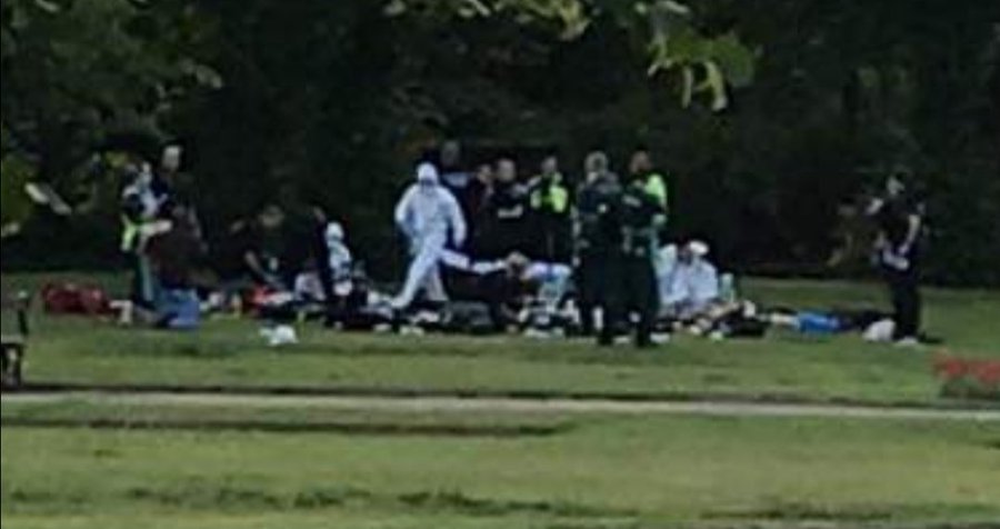 Cops and forensics experts were seen searching the park