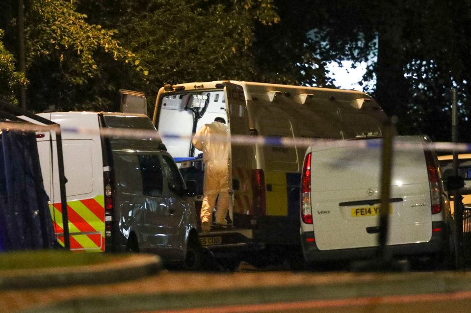 Forensic officers attend Forbury Gardens after the incident