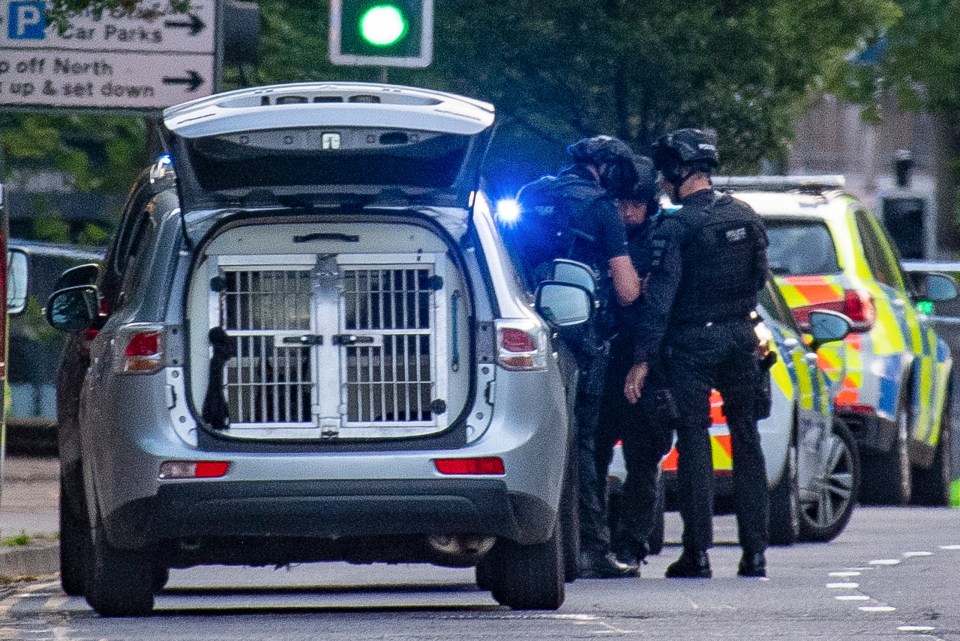 Polioce are working with counter-terror cops as they investigate what happened