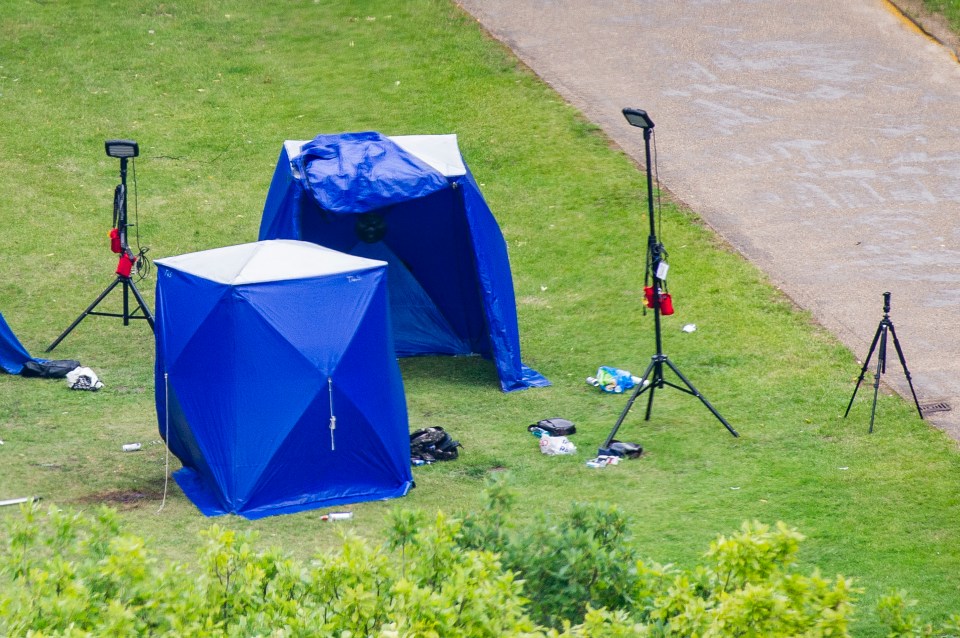 Blue and white police tents have been set up in the park after the horrifying deaths