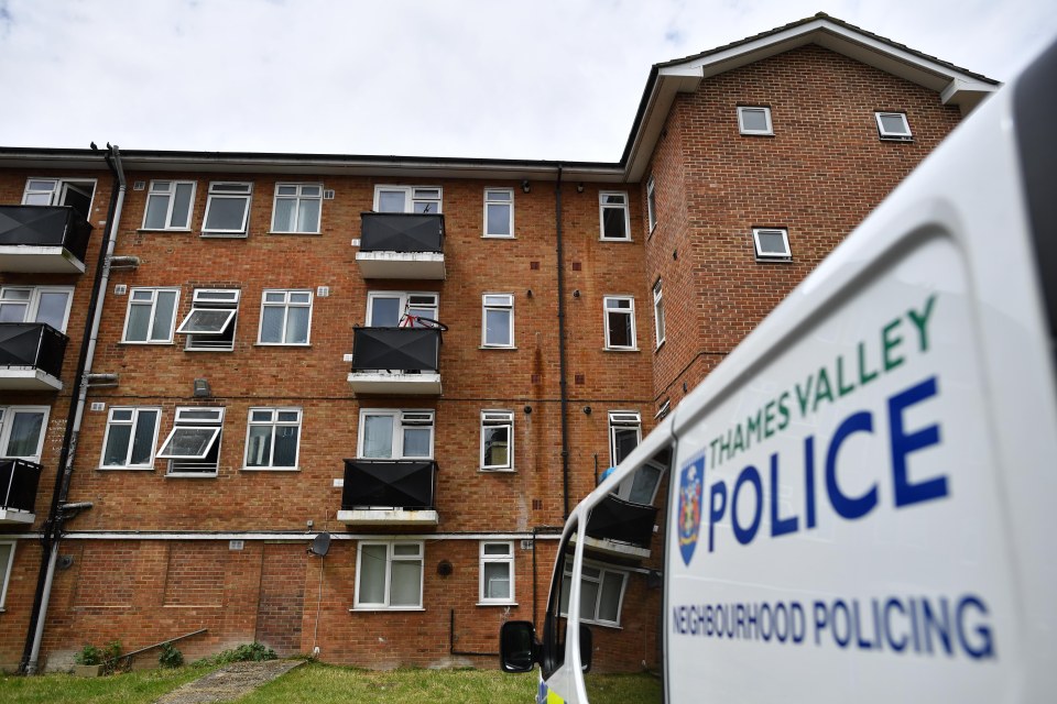 Police raided a flat less than a mile away from the park overnight