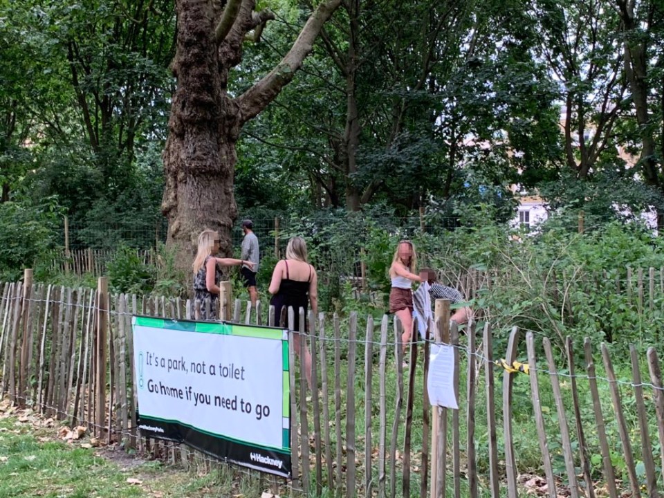 Revellers in London Fields yesterday