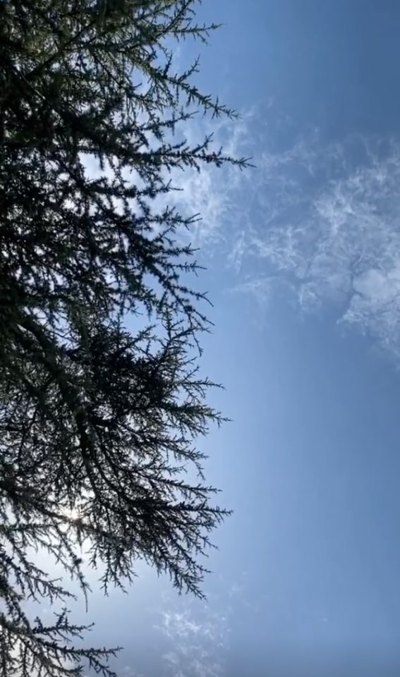  Damian Hurley shared this photo of a blue sky on Instagram after news of his father's death broke