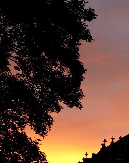 Damian Hurley wrote a message about his loss next to a sunset sky