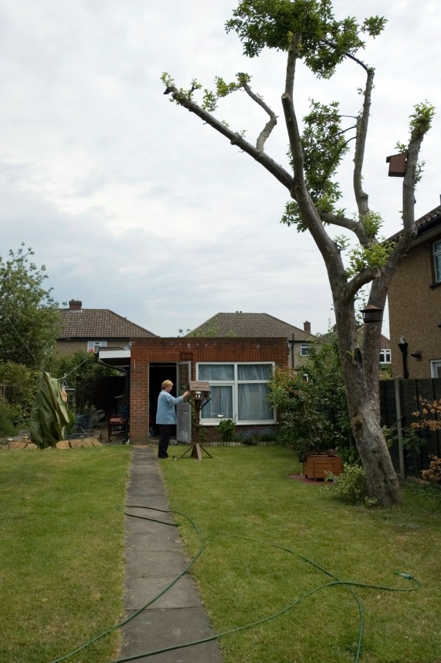 If your neighbour’s tree is causing damage to your property, especially a supporting wall, he is legally responsible for removing it