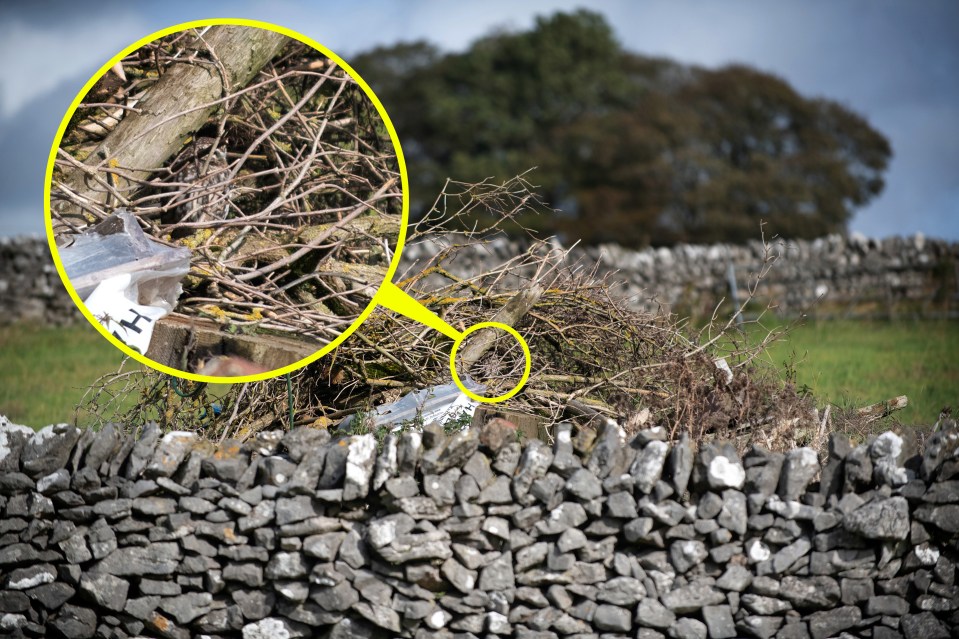 A small owl hides under a pile of sticks on top of the stone wall