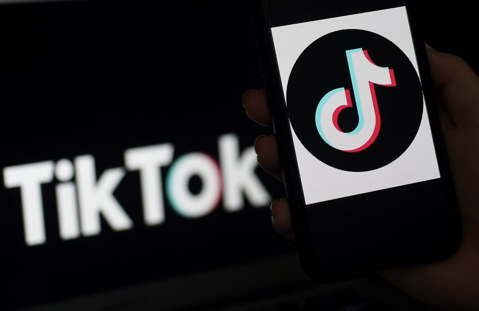 TikTok is a popular video-sharing platform with more than 800 million users worldwide