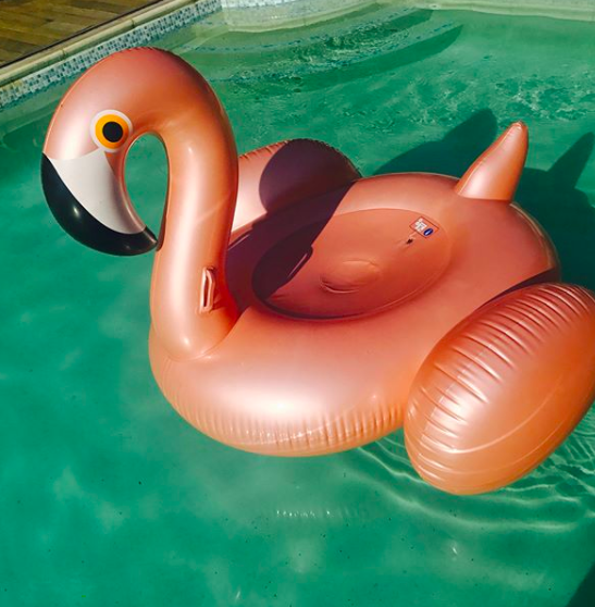 She has her own pool complete with flamingo