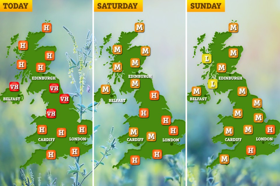 The pollen forecast for today and this weekend