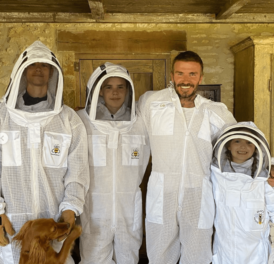 David was joined by his three youngest children to tend the bees