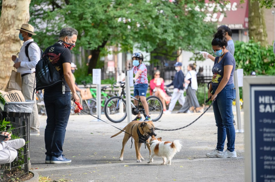 Dog walkers should observe social distancing during the Covid-19 pandemic, experts say