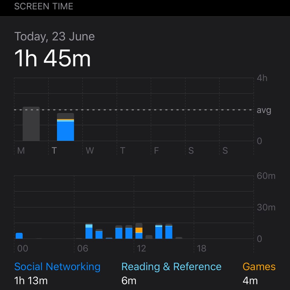 Check your Screen Time charts for any inconsistencies with your own iPhone usage