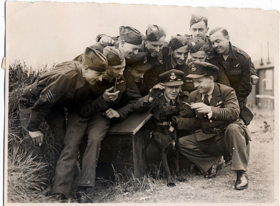 The dog is pictured with the Dambusters squadron