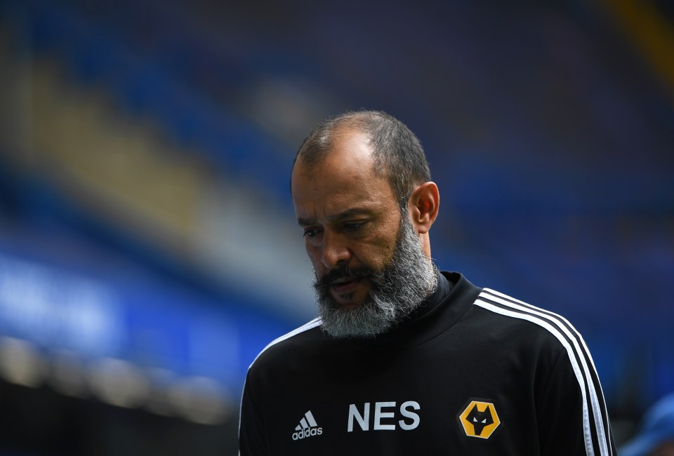 Wolves will be hoping to earn a European lifeline for next season