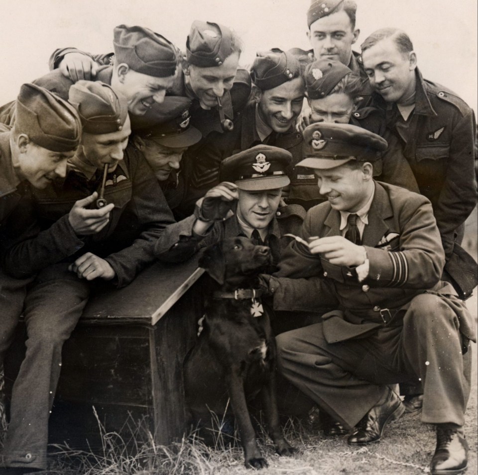 The dog is pictured with the Dambusters squadron