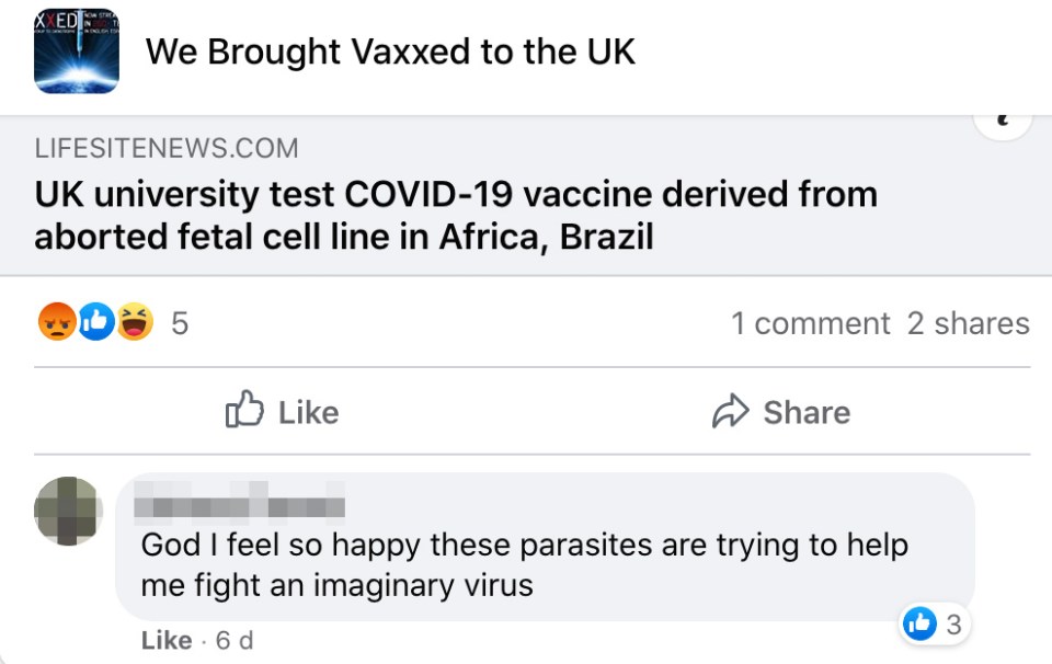 One user calls vaccine researchers 'parasites' fighting an 'imaginary virus'