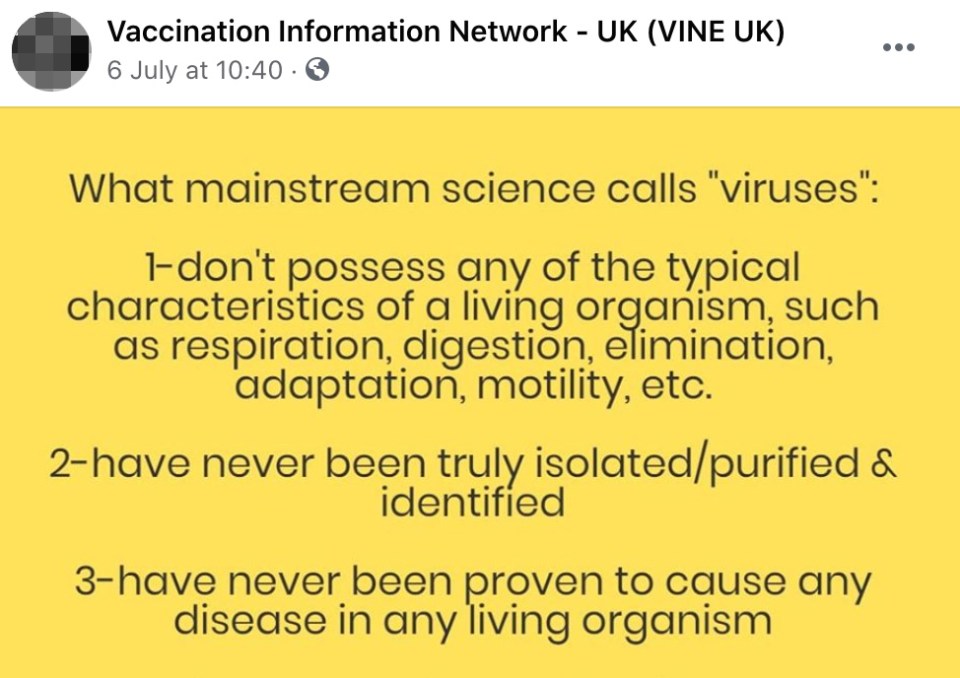 But thousands of Brits now say they'll refuse a Covid-19 vaccine, with experts blaming UK and US anti-vaxx conspiracy groups