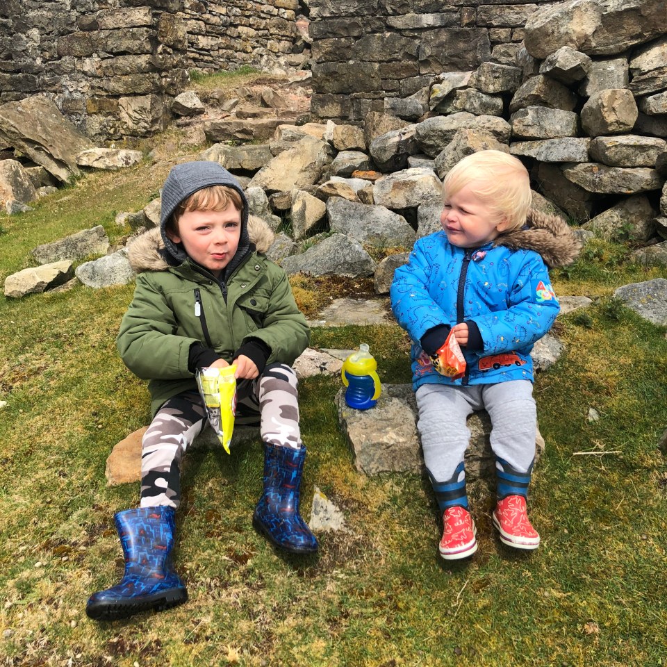 Alfie, four, and his brother Charlie, two, have given up asking their parents for new plastic toys  