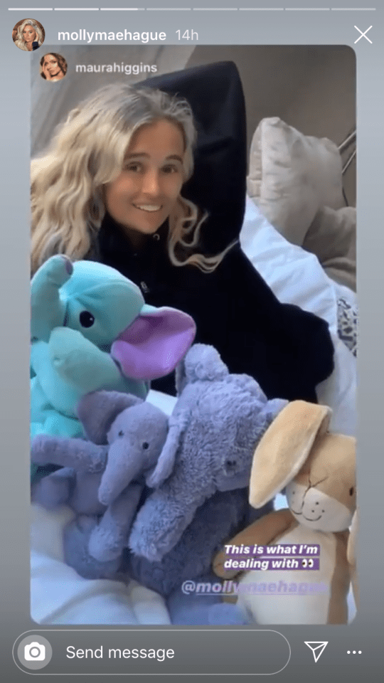 Love Island's Molly Mae Hague was surrounded by cuddly elephants during her sleepover with Maura Higgins