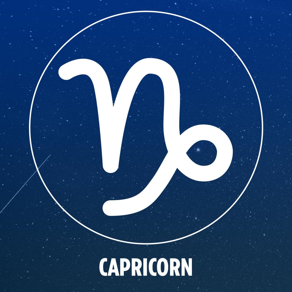 Determined and hardworking with a secret sensitive side, Capricorns are represented by a sea-goat