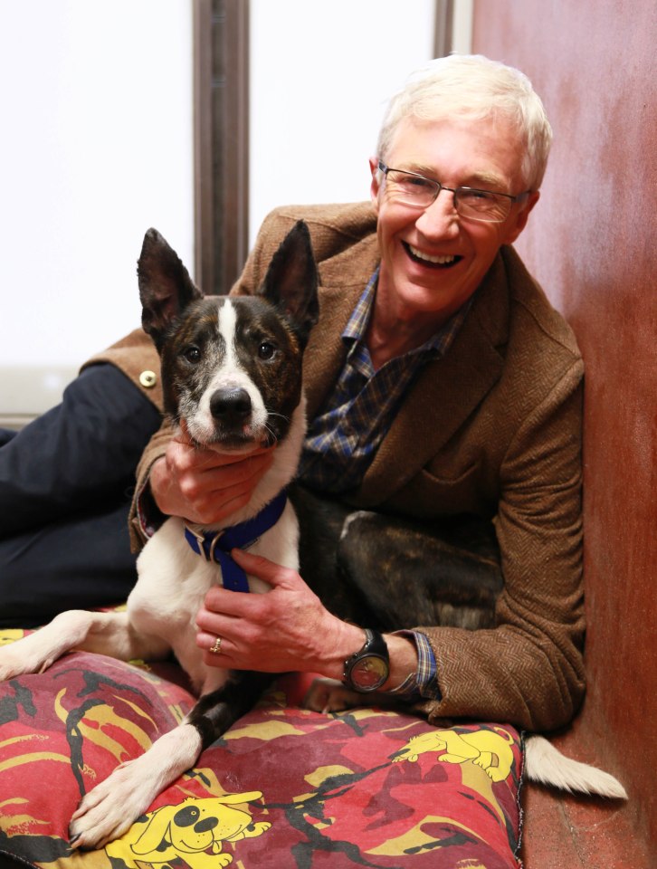 Paul O’Grady paid a visit to Battersea Dogs And Cats Home to see how they've been coping during the Covid-19 crisis