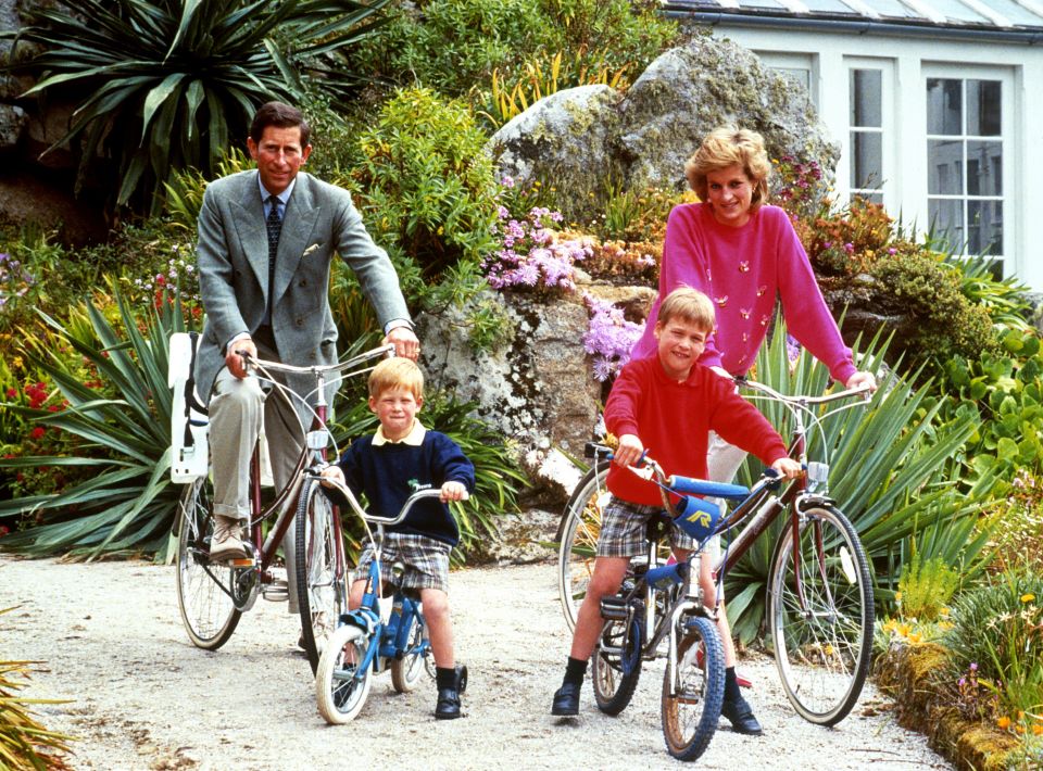 Prince William visited the spot with his parents and Harry in June 1989 when he was seven