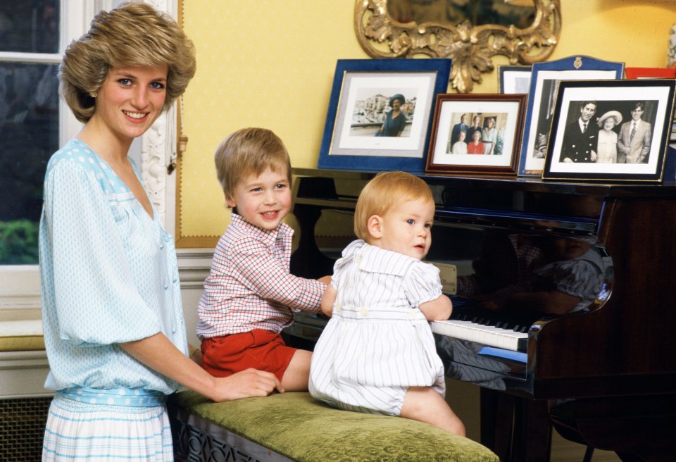 Princess Diana would be 'devastated' to see her sons William and Harry falling out in the wake of a bombshell new book, her biographer has claimed