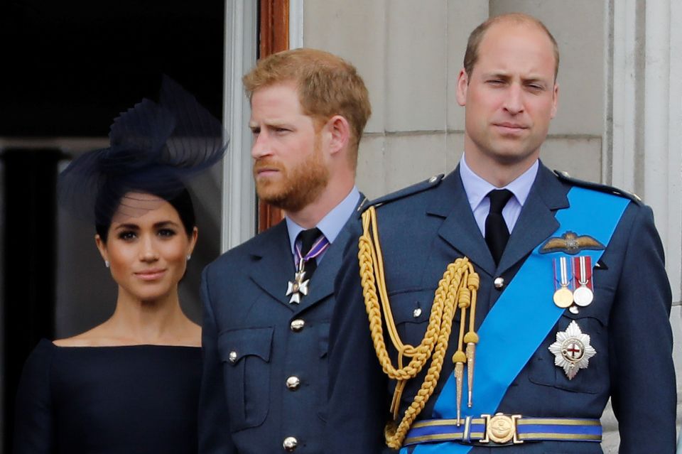 The controversial book lifts the lid on frosty conversations between William and Harry