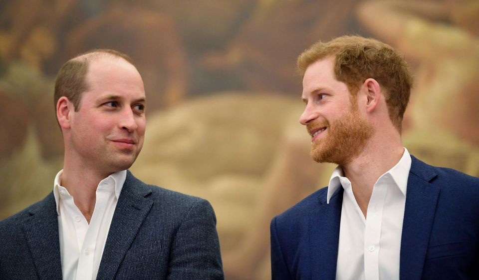 Prince Harry felt that some of William's comments about Meghan were "snobbish", the book claims