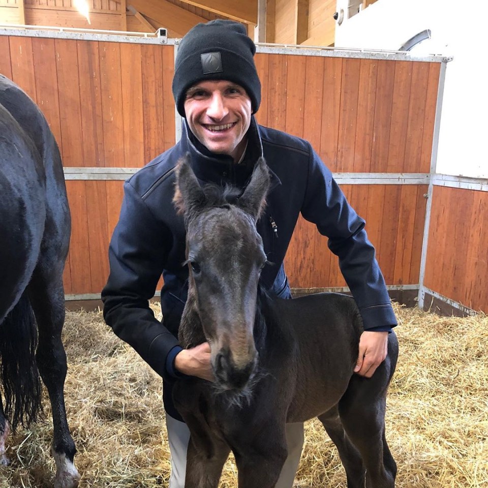 Thomas Muller has his own horse, called Dave and another called Gameday, pictured