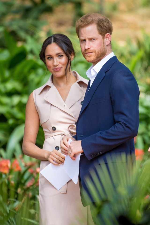 Speculation is at fever pitch over whether Harry and Meghan helped out with the new biography