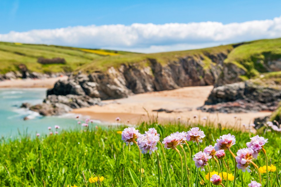 Porth Joke in Cornwall’s beach is a private cove nestled between the headlands that surround Newquay