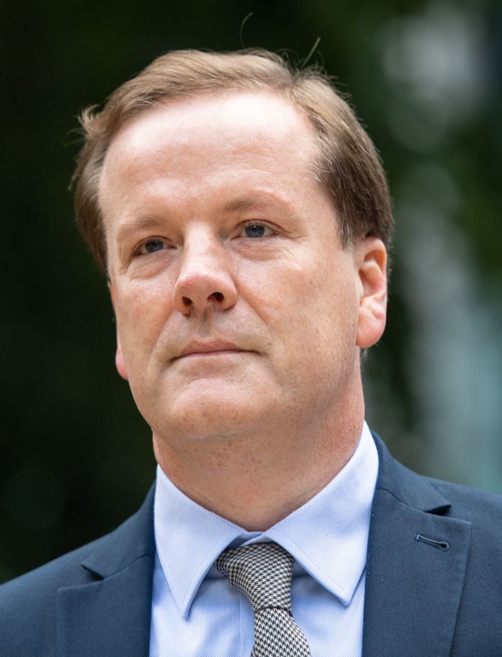 Elphicke was elected MP for Dover in 2010 and held the seat until standing down at the general election in December 2019