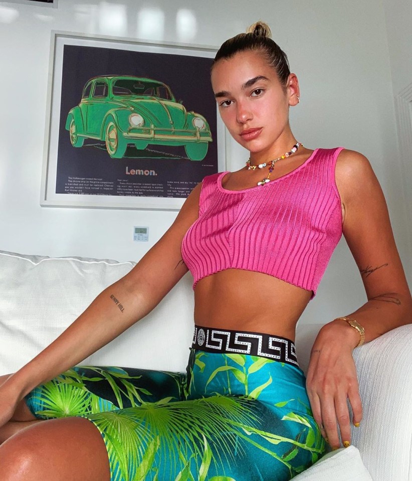 Dua Lipa posed in a pink crop top and patterned leggings on holiday in St Lucia