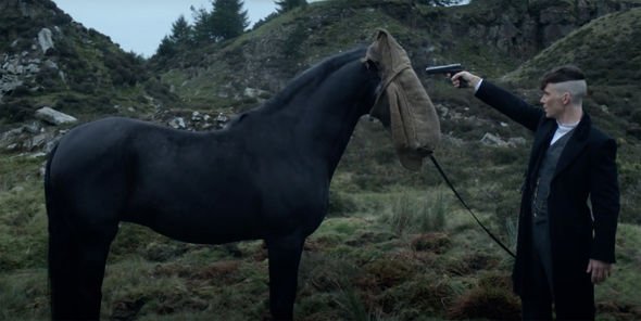 Tommy Shelby (Cillian Murphy) shoots a horse at the beginning of season five on Peaky Blinder