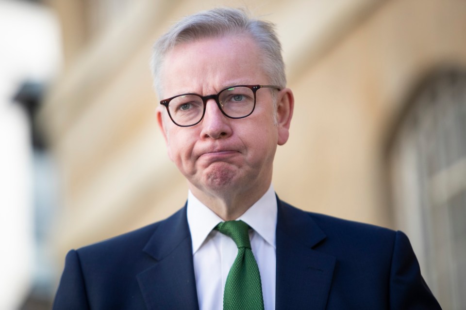 Michael Gove said this morning everyone should wear a mask in a shop