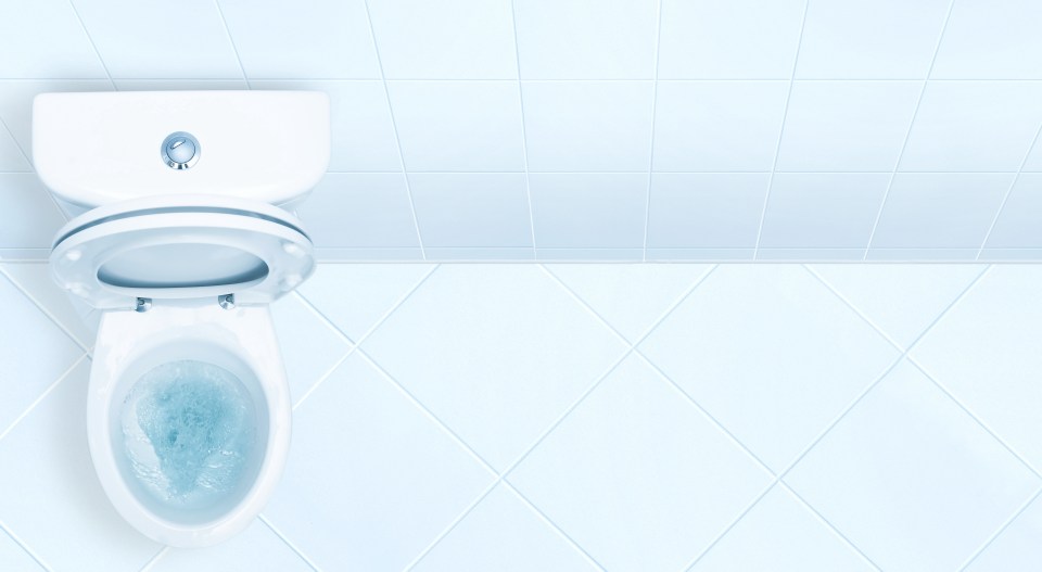 A cup full of fabric conditioner will make your toilet smell like crisp linen